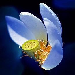 Fami通为《沙漠大冒险》给出35分高评价